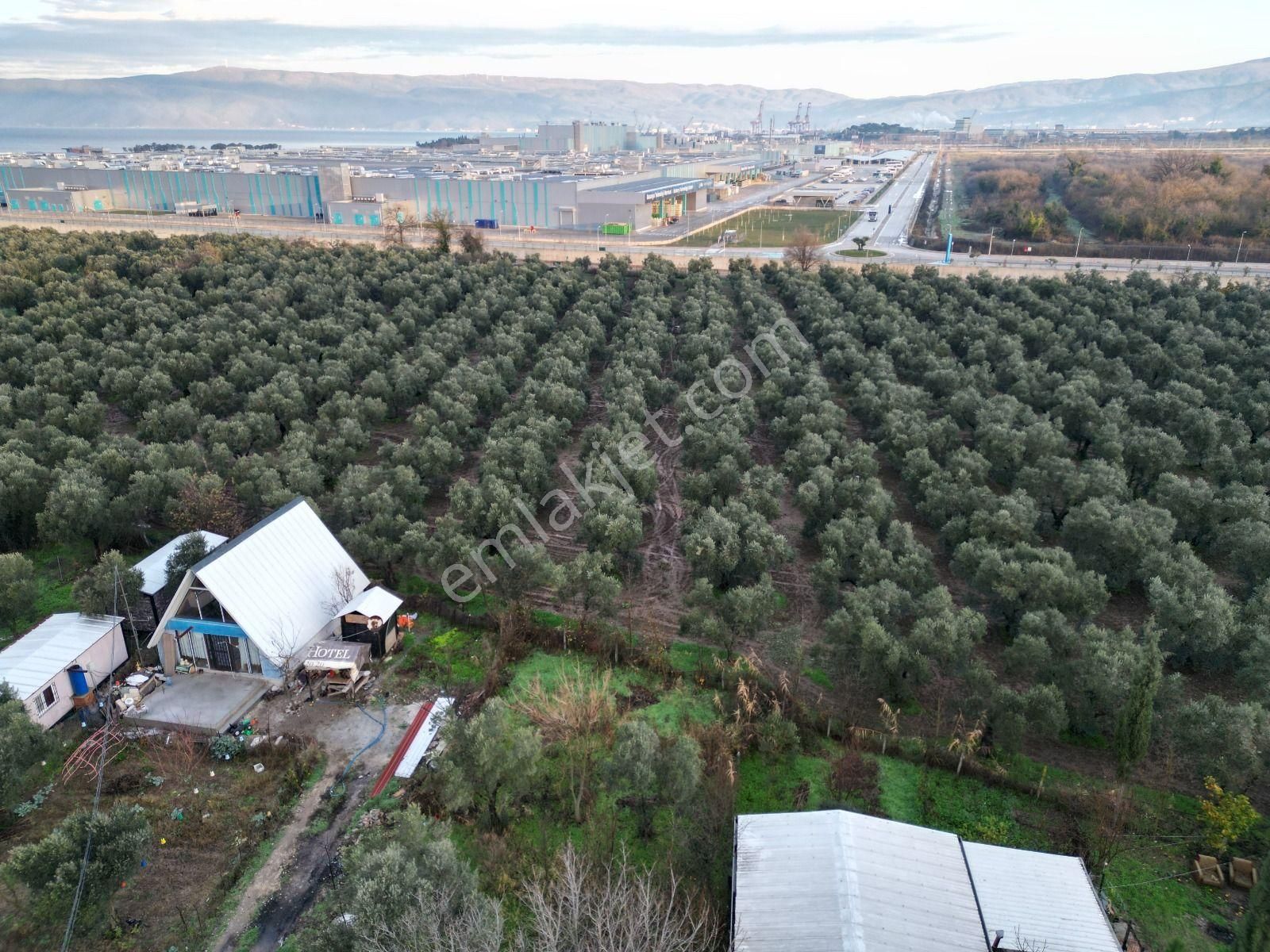 Gemlik Gençali Mahallesi Kumsaz Merkezde Satılık Tarla - Görsel 10