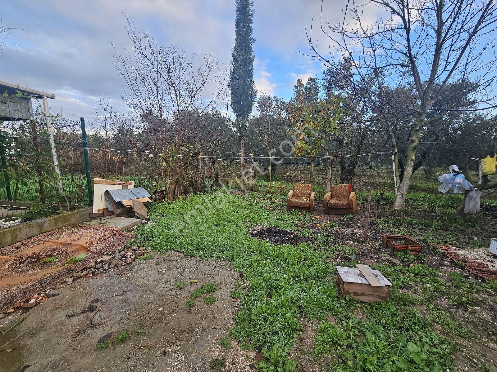 Gemlik Gençali Mahallesi Kumsaz Merkezde Satılık Tarla - Görsel 21