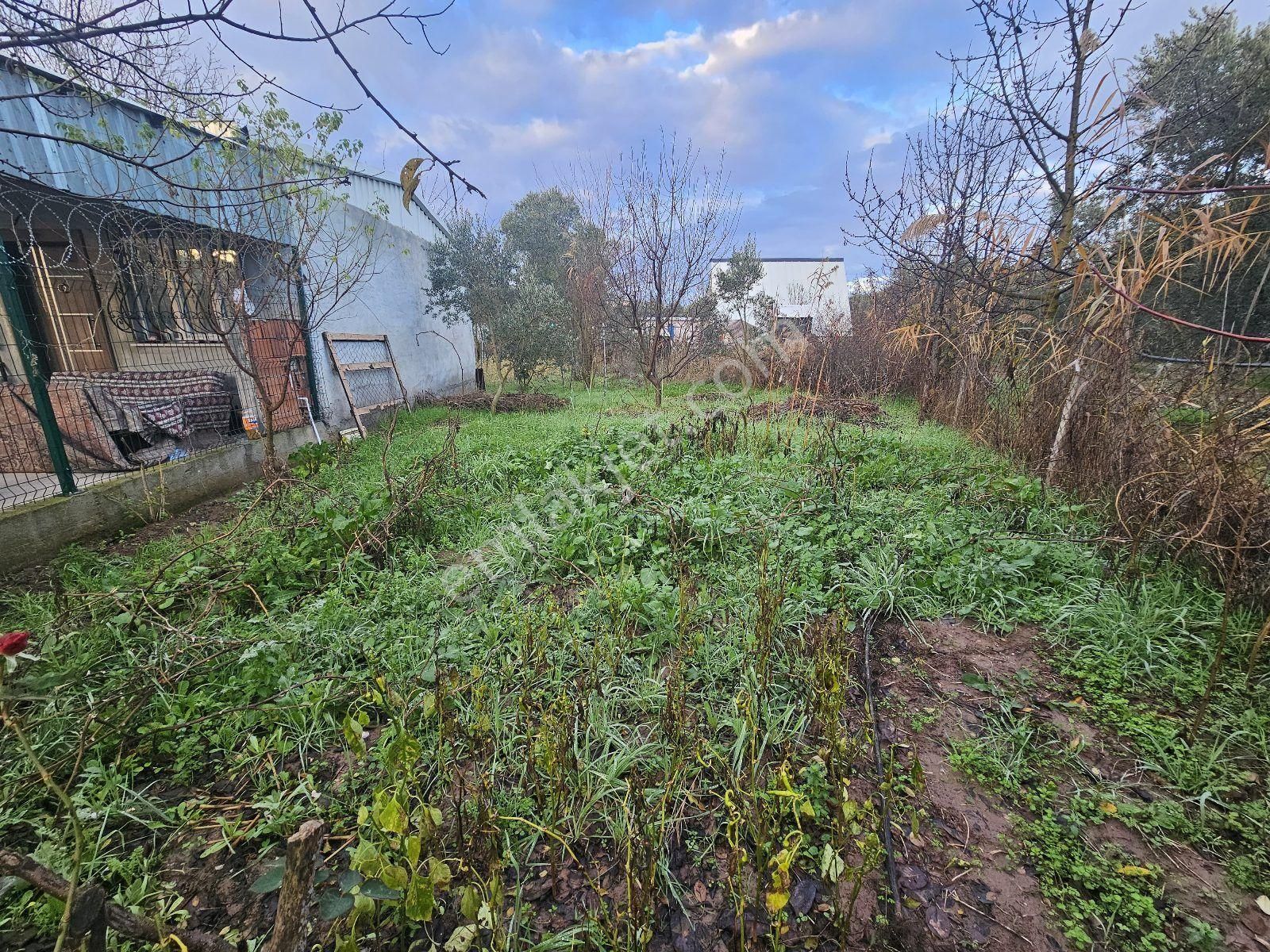 Gemlik Gençali Mahallesi Kumsaz Merkezde Satılık Tarla - Görsel 20