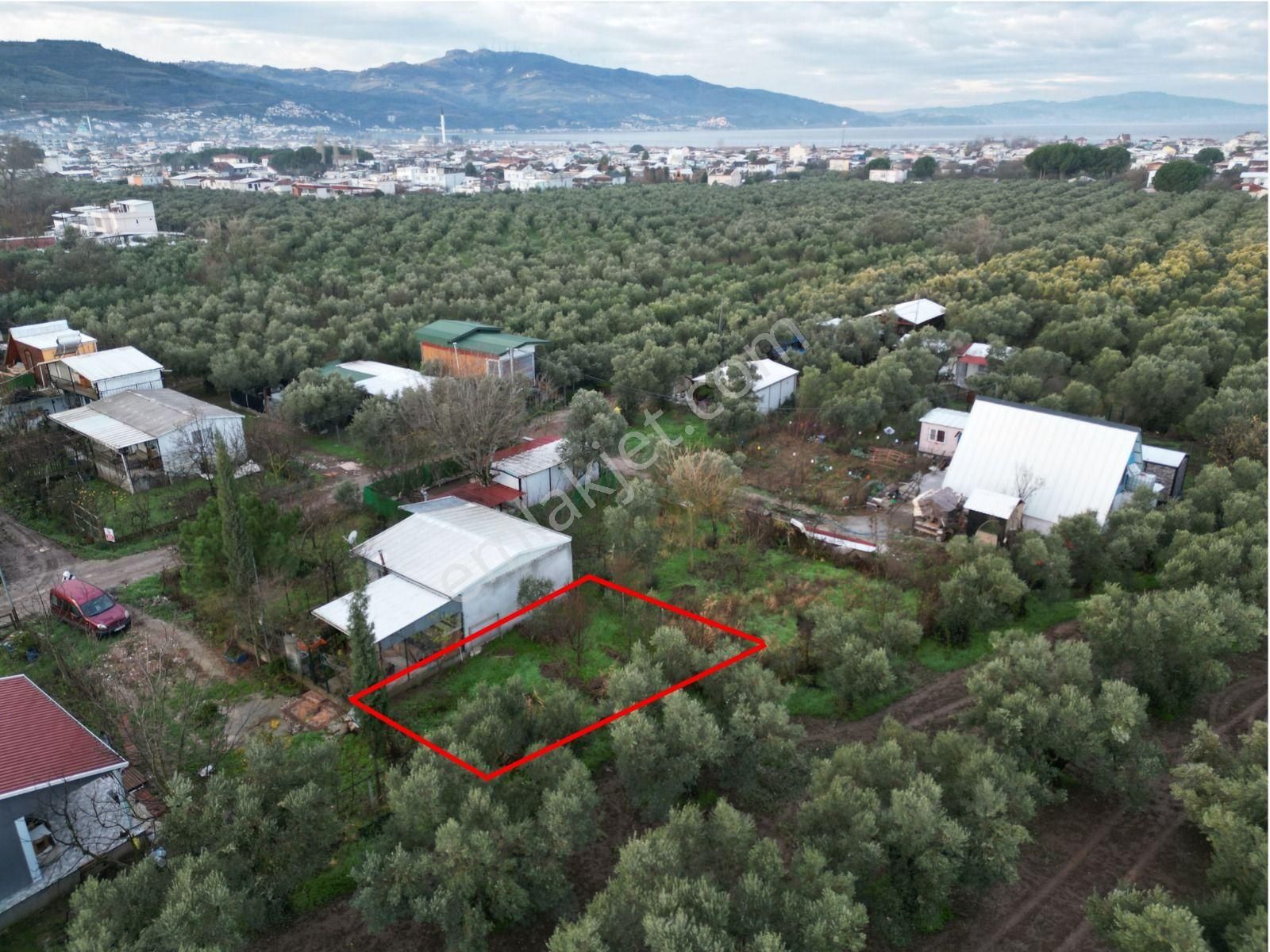 Gemlik Gençali Mahallesi Kumsaz Merkezde Satılık Tarla - Görsel 13