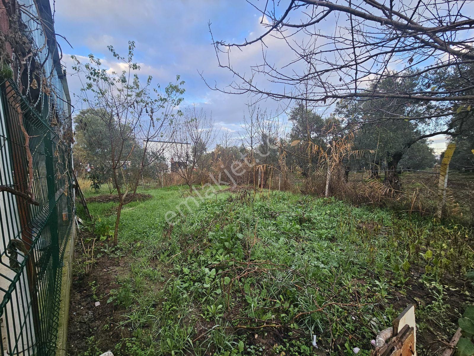 Gemlik Gençali Mahallesi Kumsaz Merkezde Satılık Tarla - Görsel 8