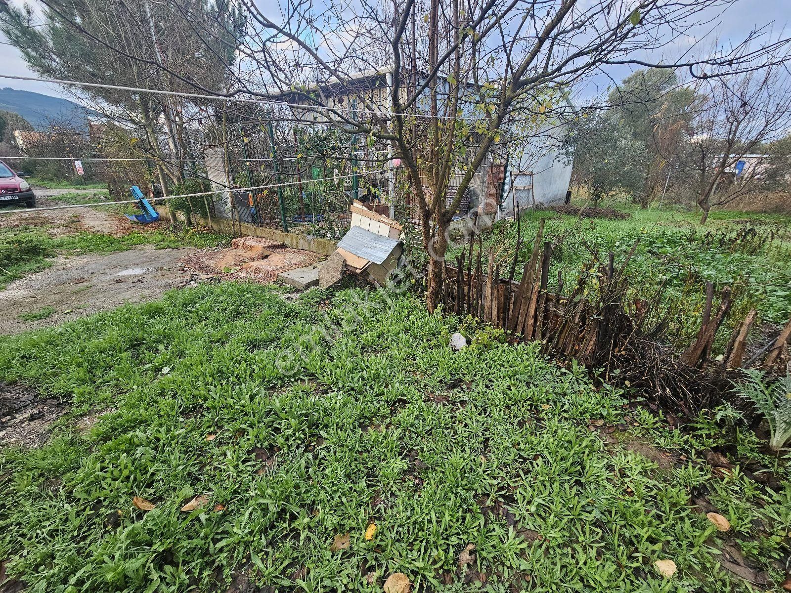 Gemlik Gençali Mahallesi Kumsaz Merkezde Satılık Tarla - Görsel 7