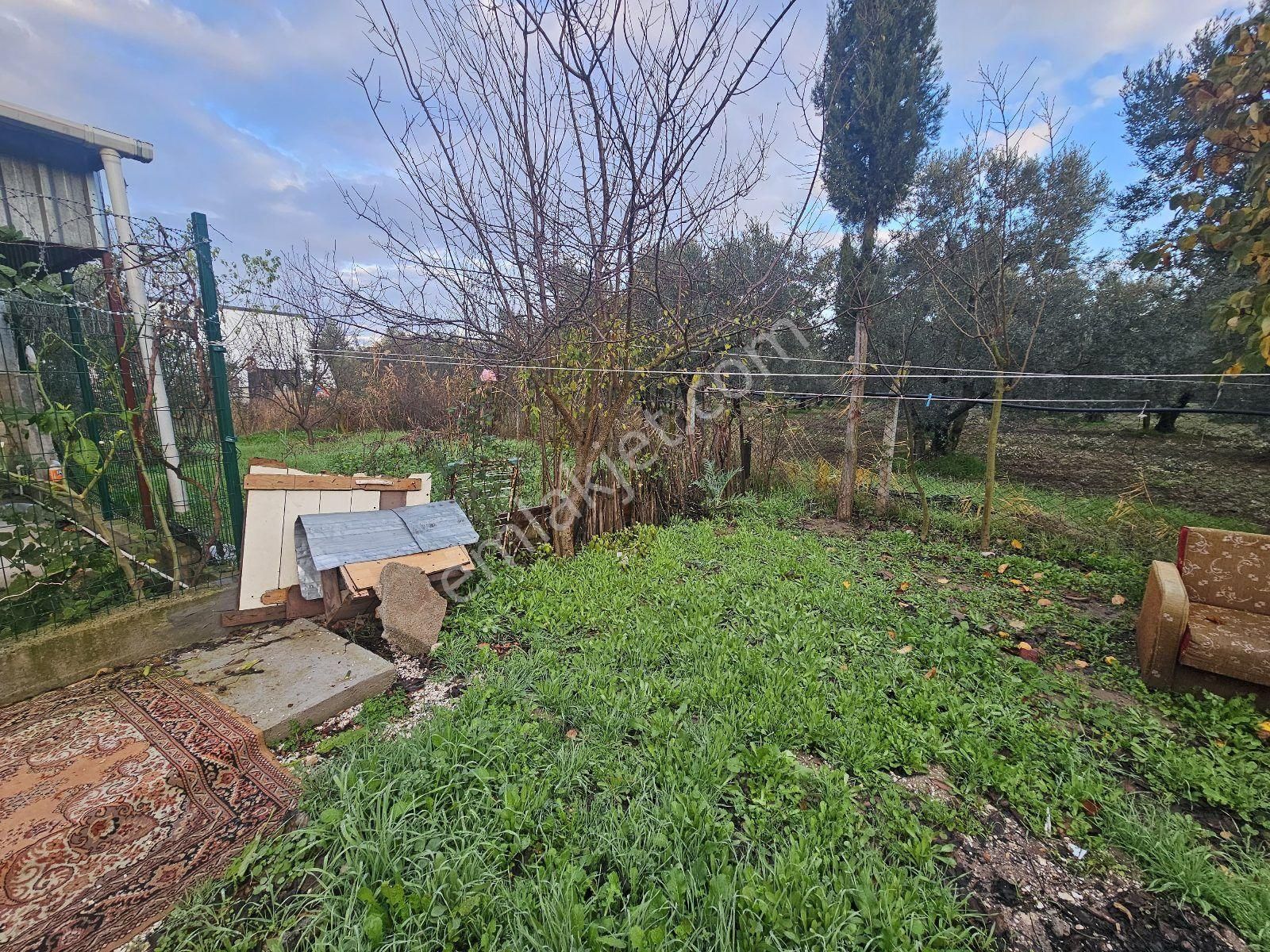 Gemlik Gençali Mahallesi Kumsaz Merkezde Satılık Tarla - Görsel 22