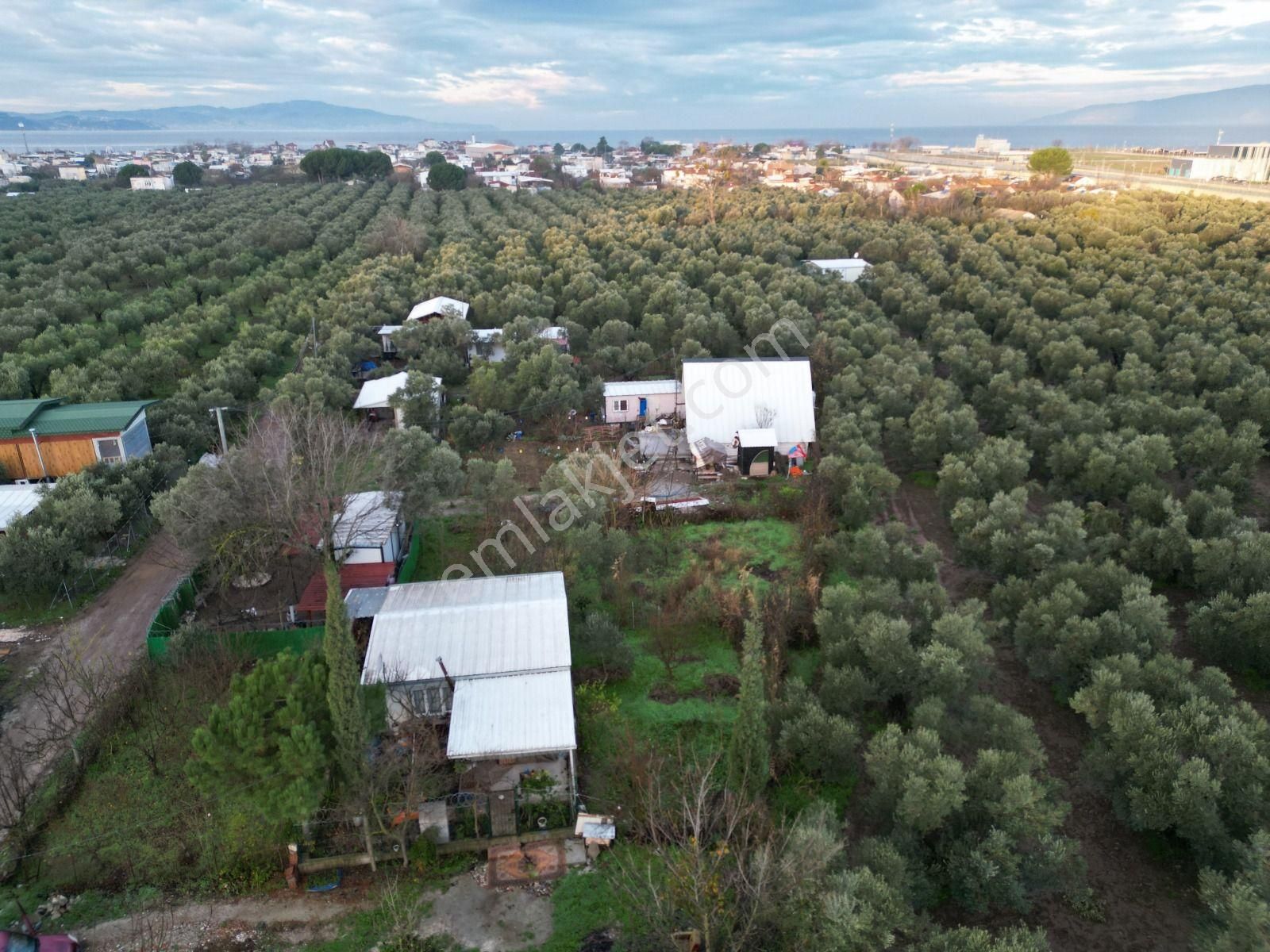 Gemlik Gençali Mahallesi Kumsaz Merkezde Satılık Tarla - Görsel 9