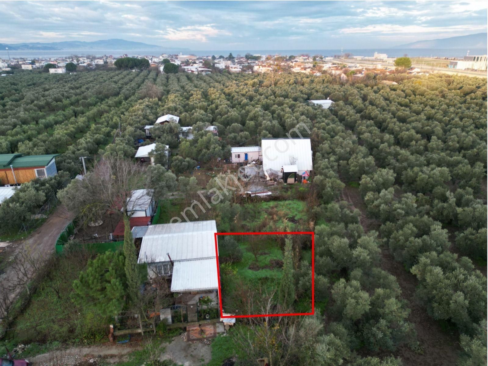 Gemlik Gençali Mahallesi Kumsaz Merkezde Satılık Tarla