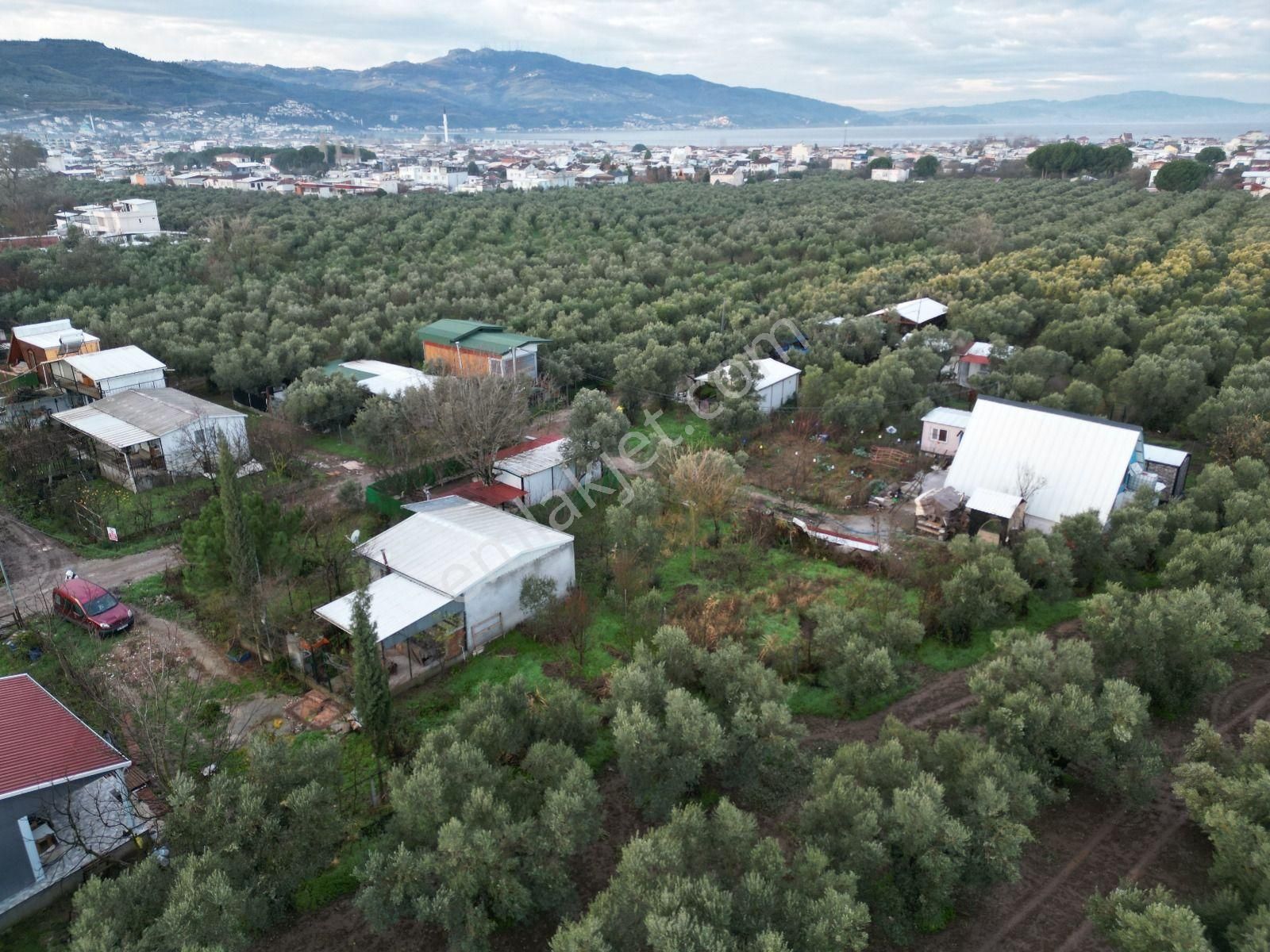 Gemlik Gençali Mahallesi Kumsaz Merkezde Satılık Tarla - Görsel 18