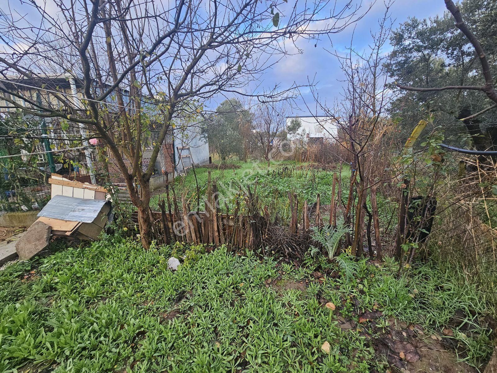 Gemlik Gençali Mahallesi Kumsaz Merkezde Satılık Tarla - Görsel 14