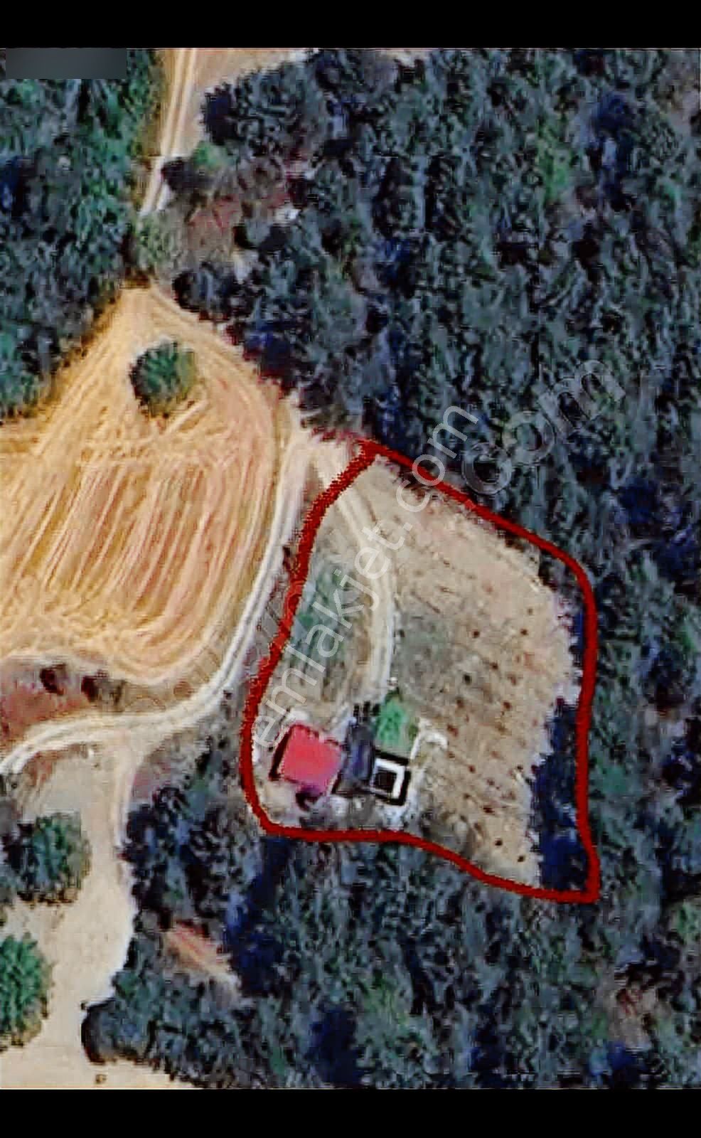 Mir'den Savaştepe / Karaçam Mah.'de Kaçırılmayacak Hobi Bahçesi - Görsel 4