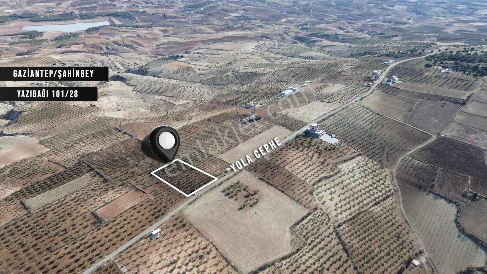 Z Group'dan Burçta Asfalt Üzeri Zeytin Bahçesi (bağevlik) - Görsel 3