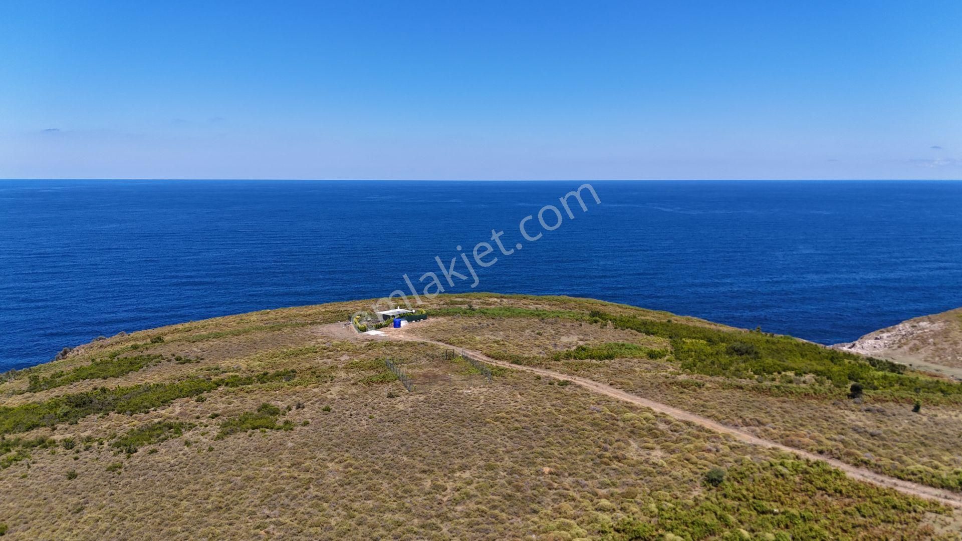 Şile Karacaköy Mah. Deniz Manzaralı İmarlı Satılık Arsa - Görsel 6