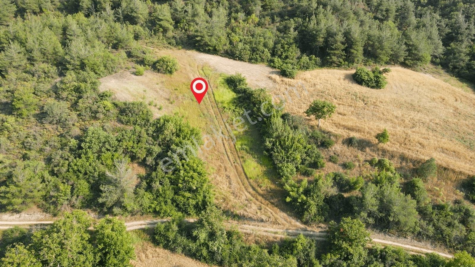 Gölpazarı Tapusu, Geyve Sınırında 2815 M2 Resmi Yolu Olan Tarla - Görsel 8
