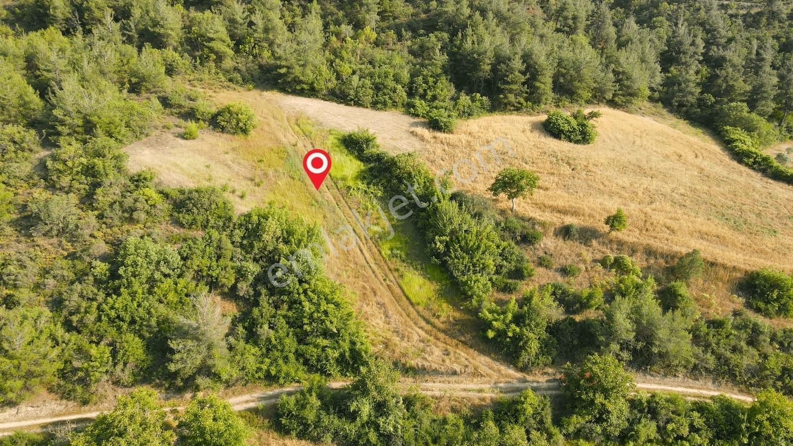 Gölpazarı Tapusu, Geyve Sınırında 2815 M2 Resmi Yolu Olan Tarla - Görsel 9