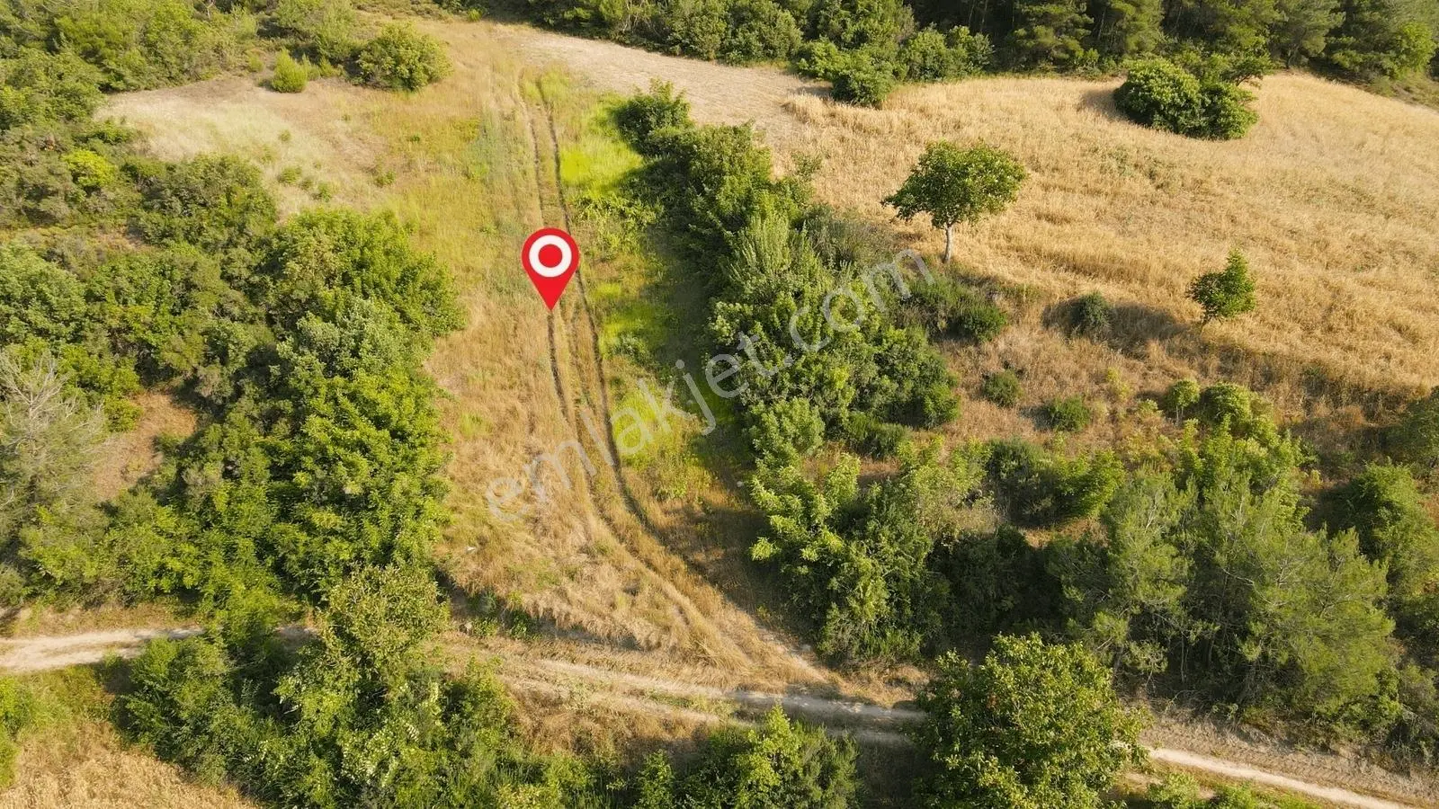 Gölpazarı Tapusu, Geyve Sınırında 2815 M2 Resmi Yolu Olan Tarla
