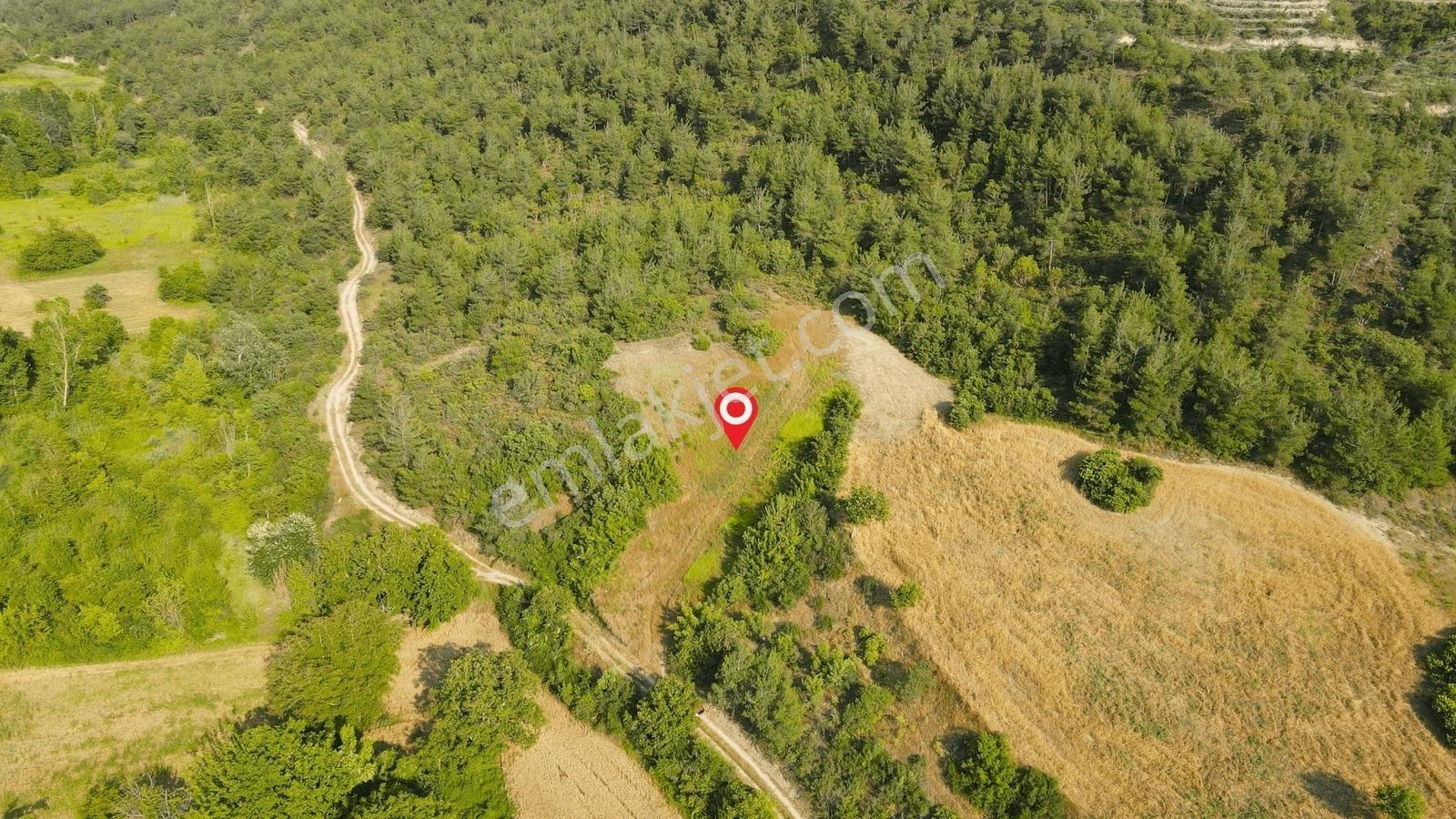 Gölpazarı Tapusu, Geyve Sınırında 2815 M2 Resmi Yolu Olan Tarla - Görsel 6