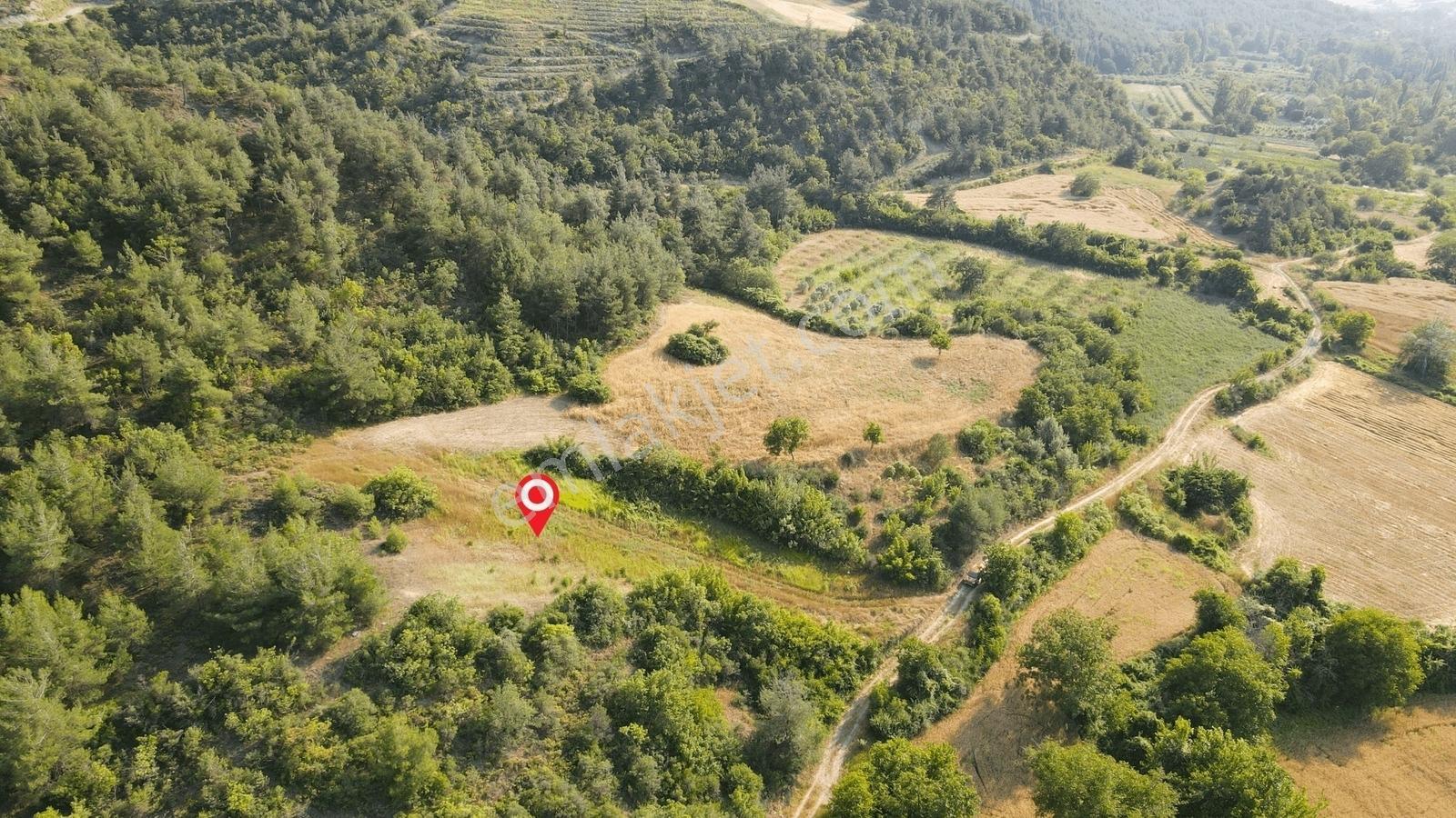 Gölpazarı Tapusu, Geyve Sınırında 2815 M2 Resmi Yolu Olan Tarla - Görsel 2