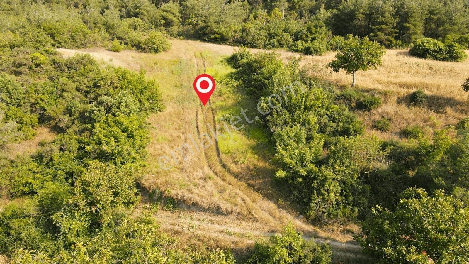 Gölpazarı Tapusu, Geyve Sınırında 2815 M2 Resmi Yolu Olan Tarla - Görsel 4