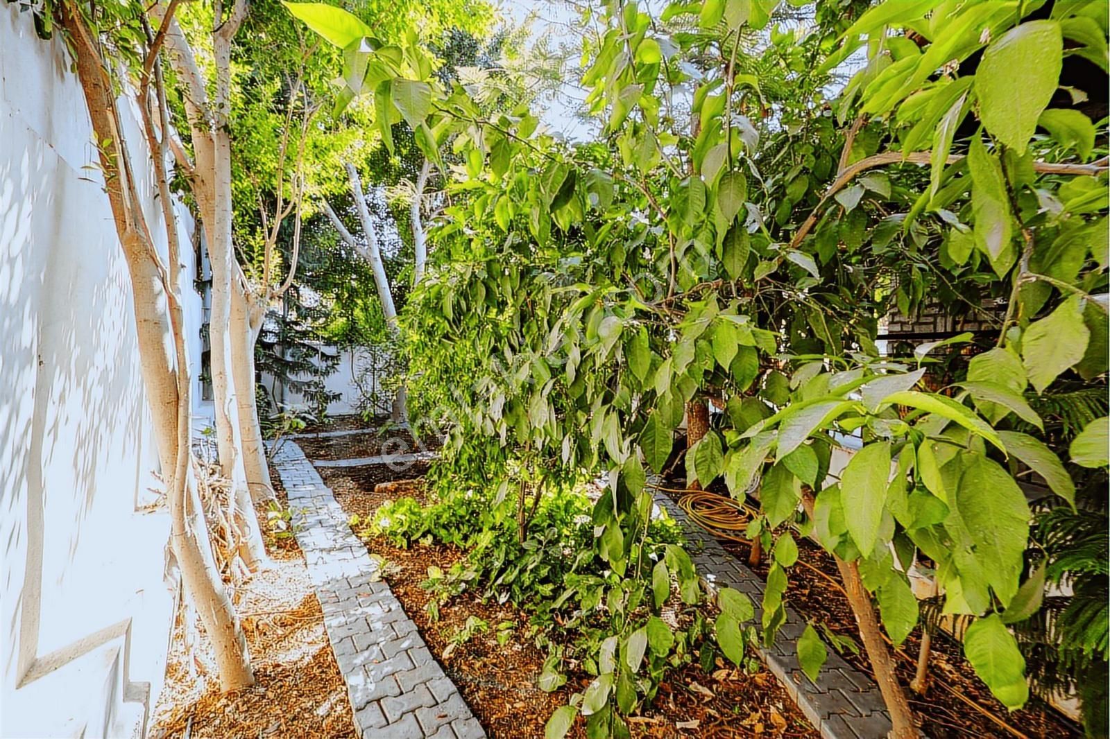 Bodrum Kumbahçe Satılık 5+1 Müstakil Yarı Taş Villa Ve 2+1 Daire - Görsel 17