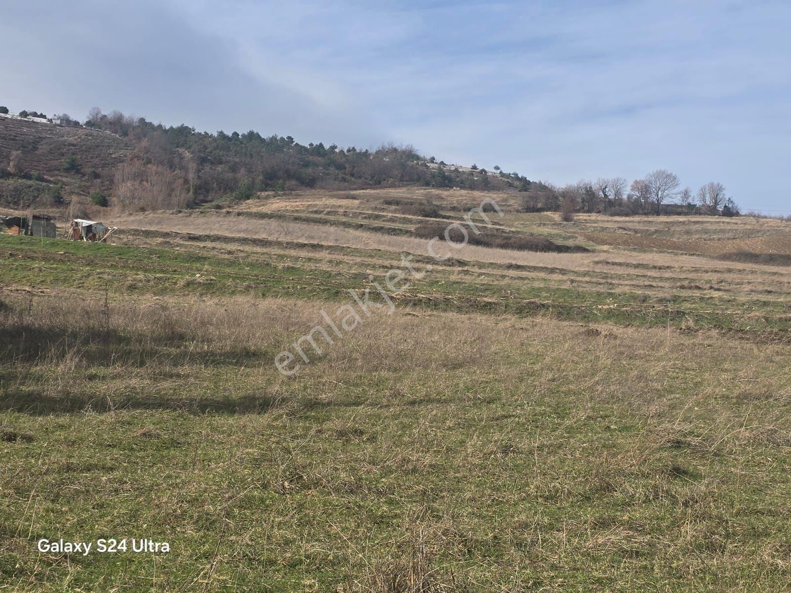 Dere Gayrimenkul'den Sarıışık'da Tek Tapu Satılık Tarla - Görsel 9