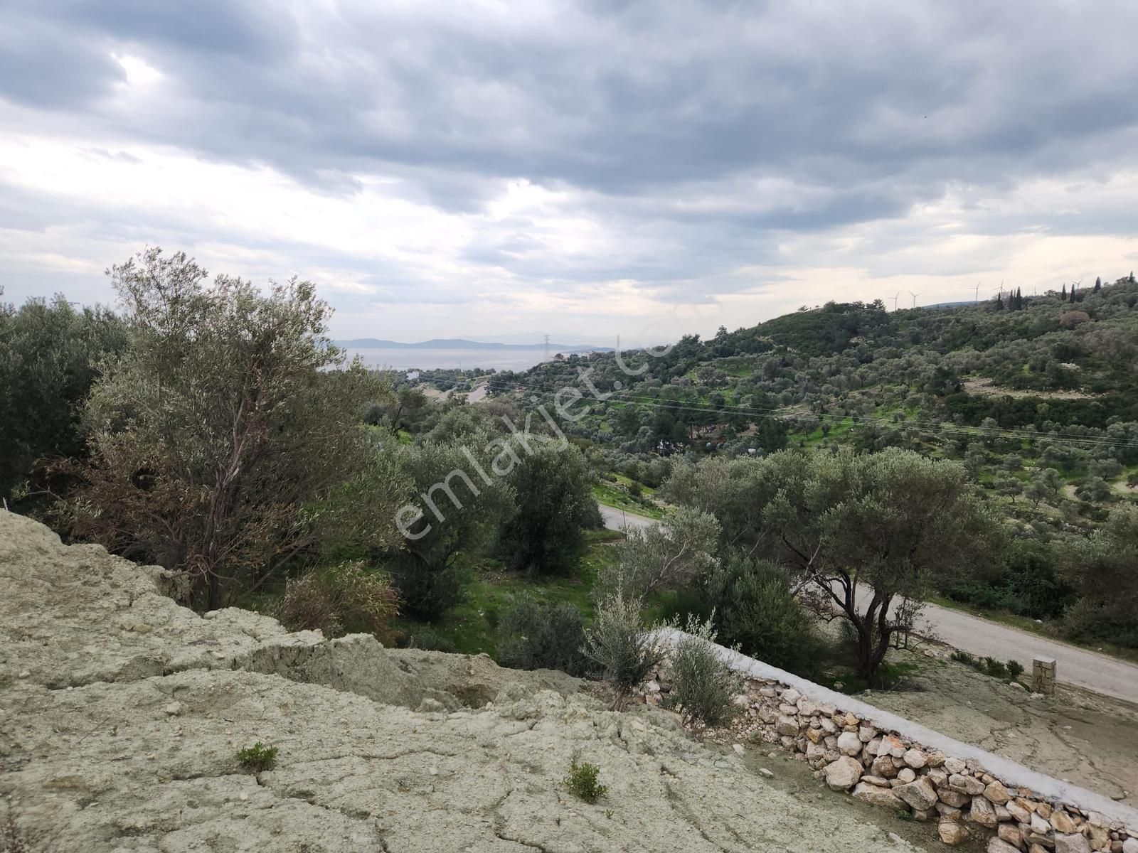 Karaburun Kösedere'de Asfalt Yola Cepheli Deniz Manzaralı Tarla - Görsel 10