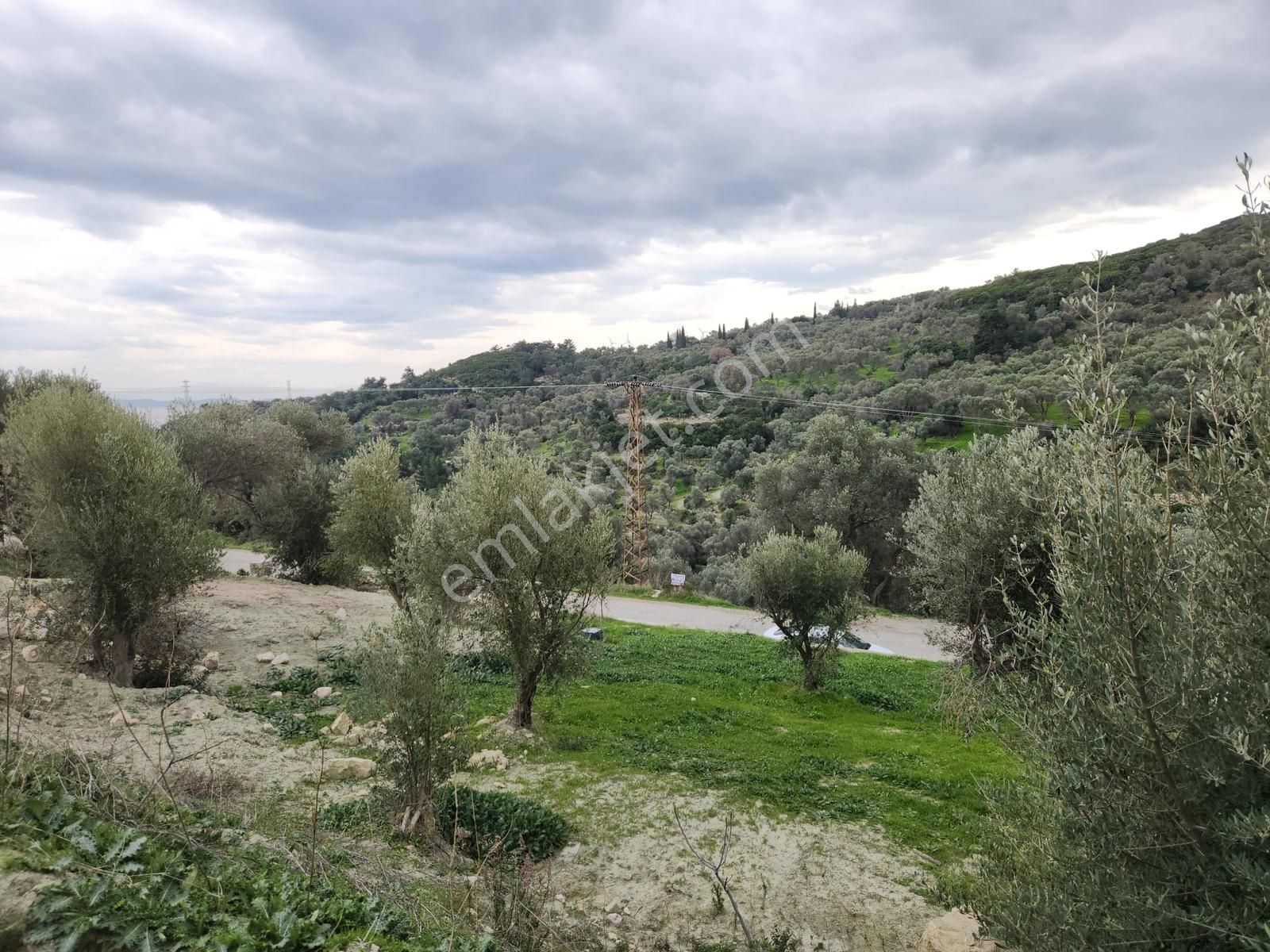 Karaburun Kösedere'de Asfalt Yola Cepheli Deniz Manzaralı Tarla - Görsel 5