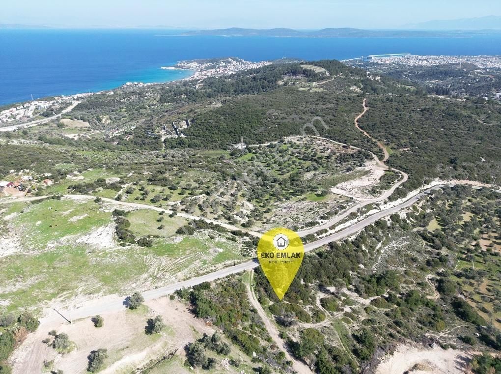 İzmir Karaburun Mordoğan'da Yatırımlık Asfalt Yola Cepheli Tarla - Görsel 4