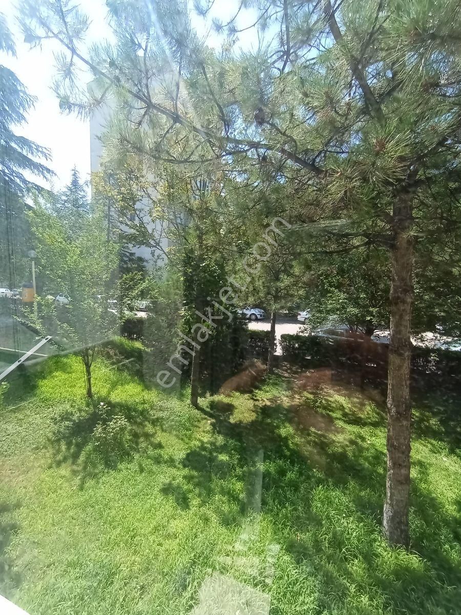 Eryaman Altay Mahallesinde Boş Yüksek Giriş 2+1 - Görsel 2