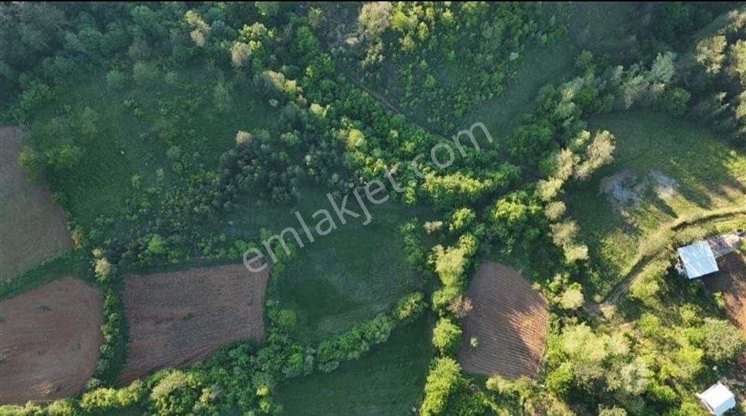 Kestel Osmanıyede Satılık Hobı Bahçesi Yapımına Uygun Arazi - Görsel 3