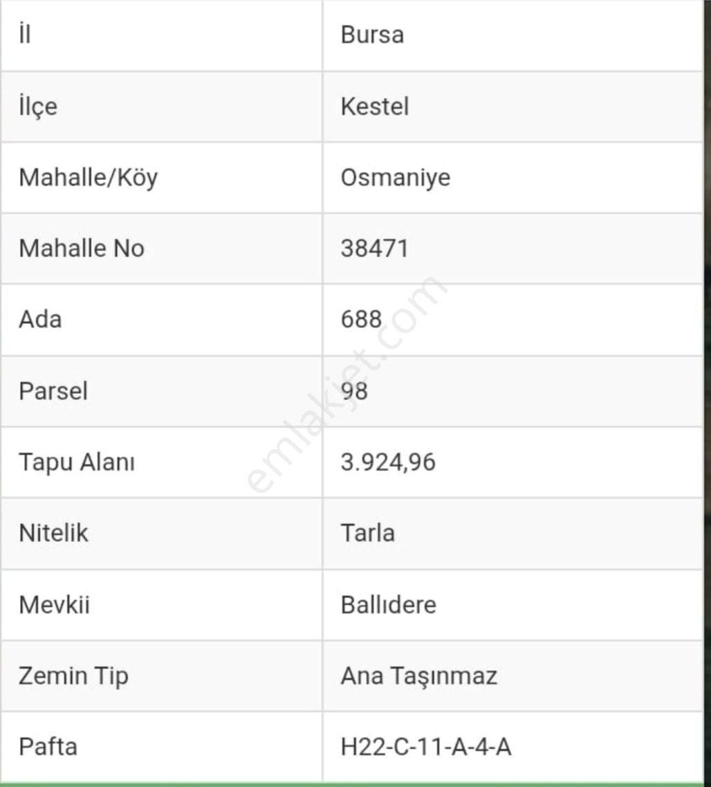 Kestel Osmanıyede Satılık Hobı Bahçesi Yapımına Uygun Arazi - Görsel 9