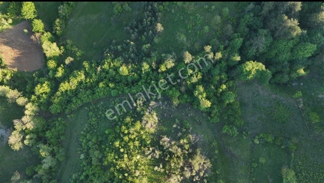 Kestel Osmanıyede Satılık Hobı Bahçesi Yapımına Uygun Arazi - Görsel 2