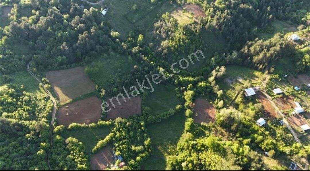 Kestel Osmanıyede Satılık Hobı Bahçesi Yapımına Uygun Arazi