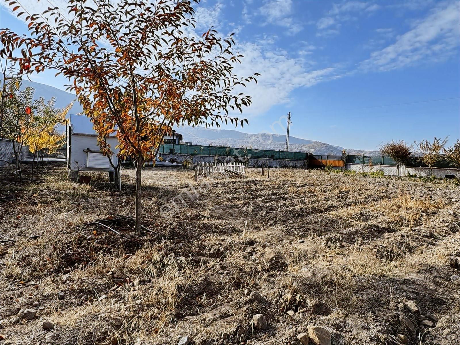 Ortaseki Ormanlarının Yanı Başında Evli Temiz Parsel - Görsel 15