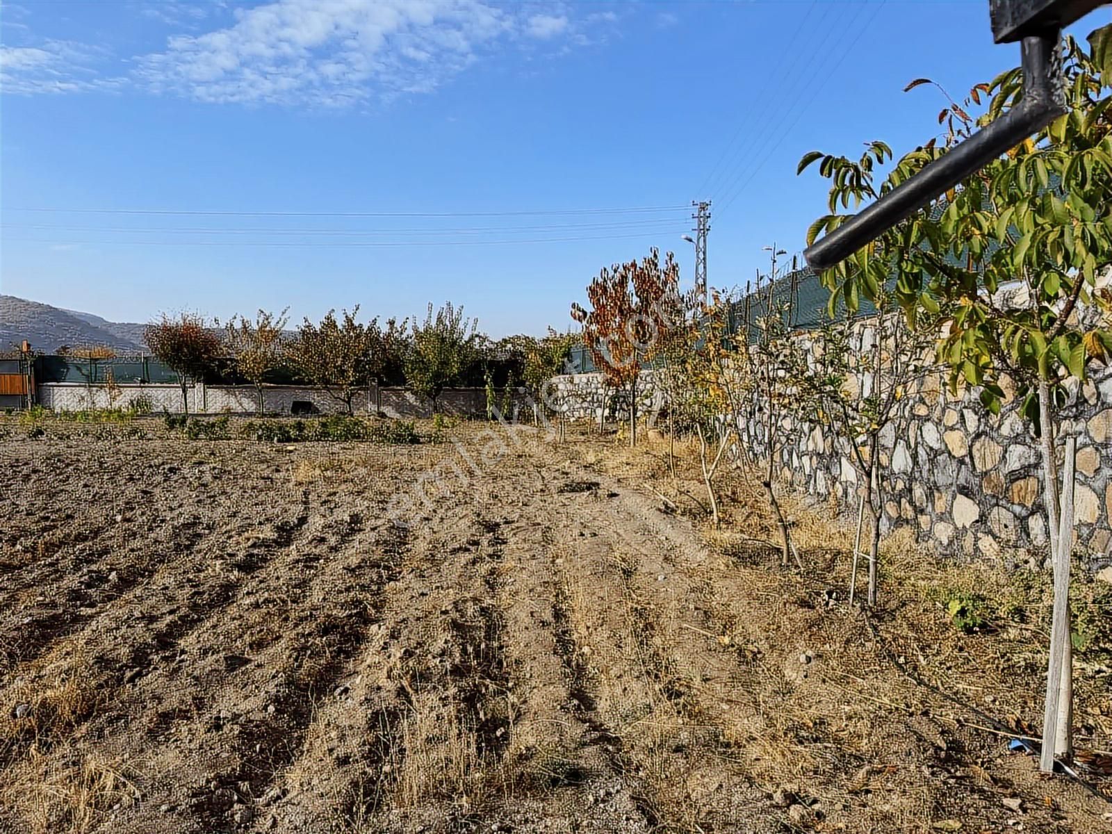 Ortaseki Ormanlarının Yanı Başında Evli Temiz Parsel - Görsel 7