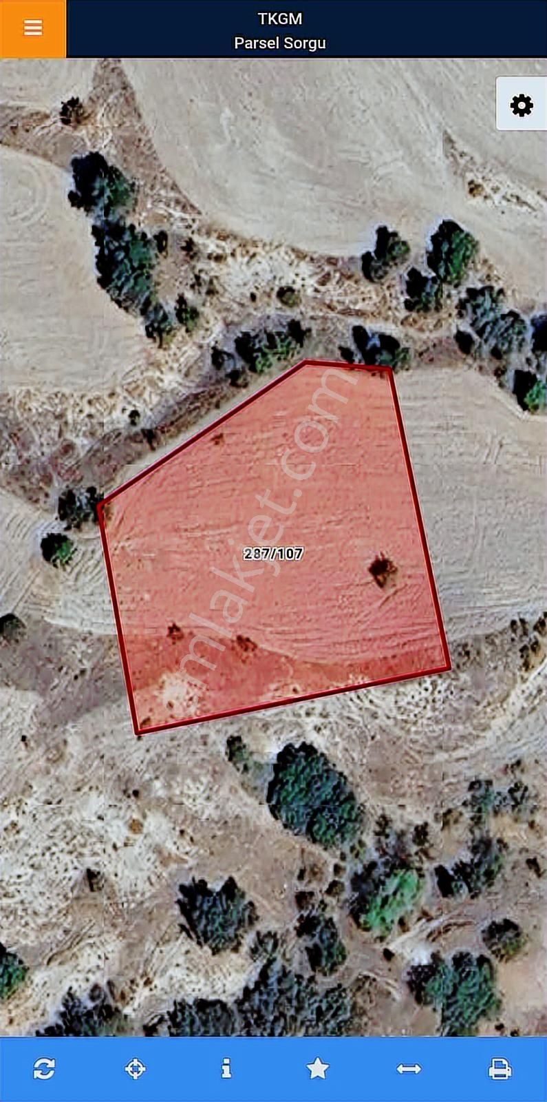 Elif Gayrimenkul Den Beypazarı Uruş'ta Tek Tapu 2.660 M2 Tarla