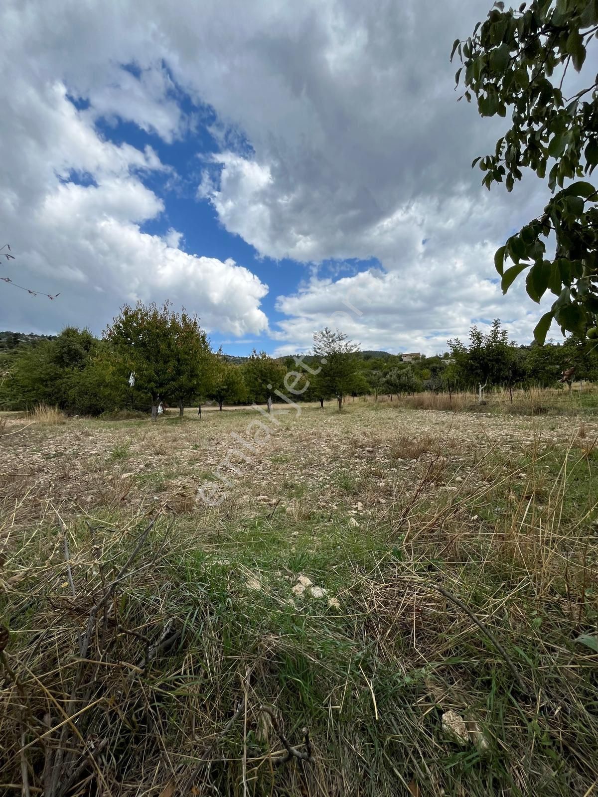 Acil Satılık - Görsel 4