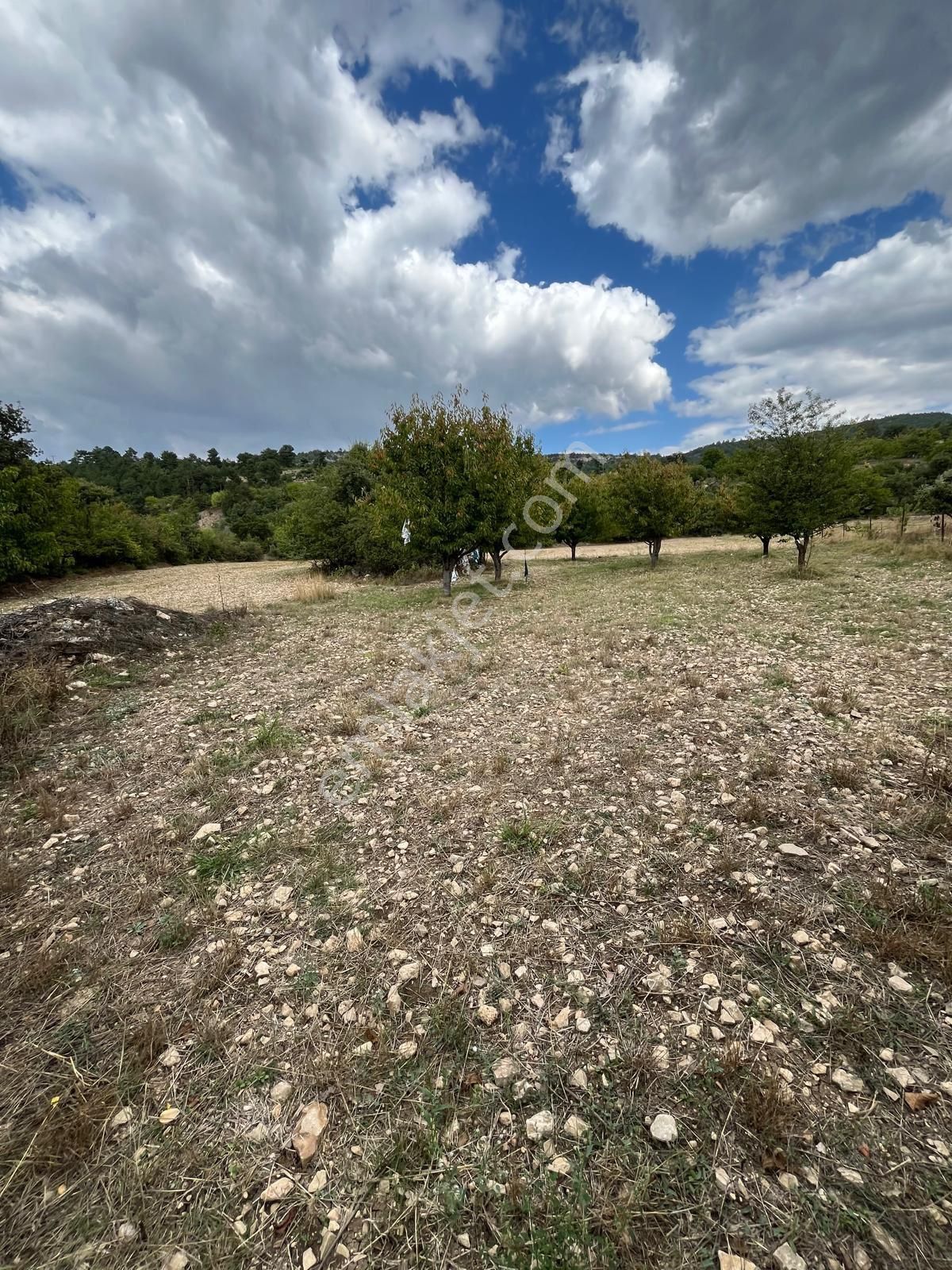 Acil Satılık - Görsel 2