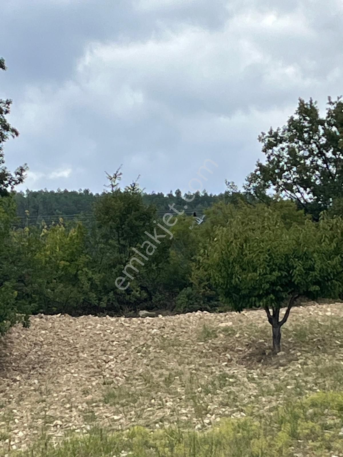 Acil Satılık - Görsel 5