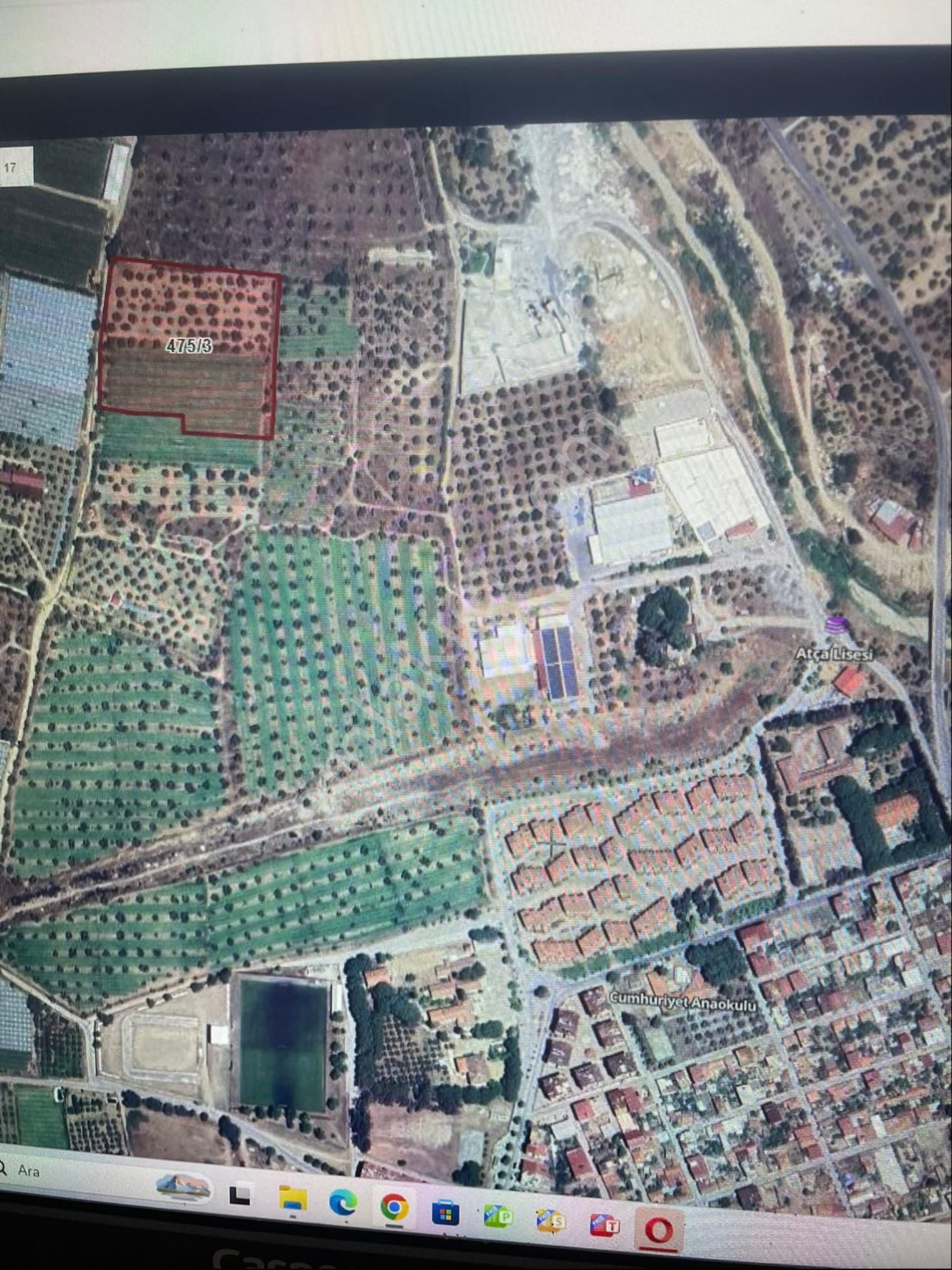 Has Umut Emlaktan Satılık 7.5 Dönüm Zeytinlik