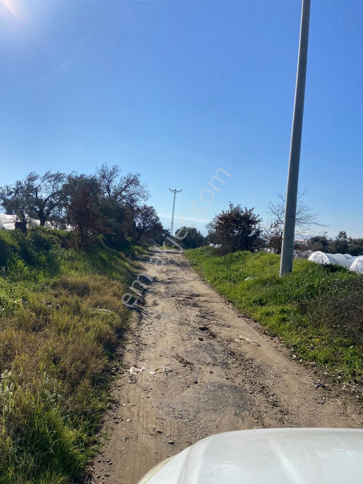 Has Umut Emlaktan Satılık 7.5 Dönüm Zeytinlik - Görsel 20