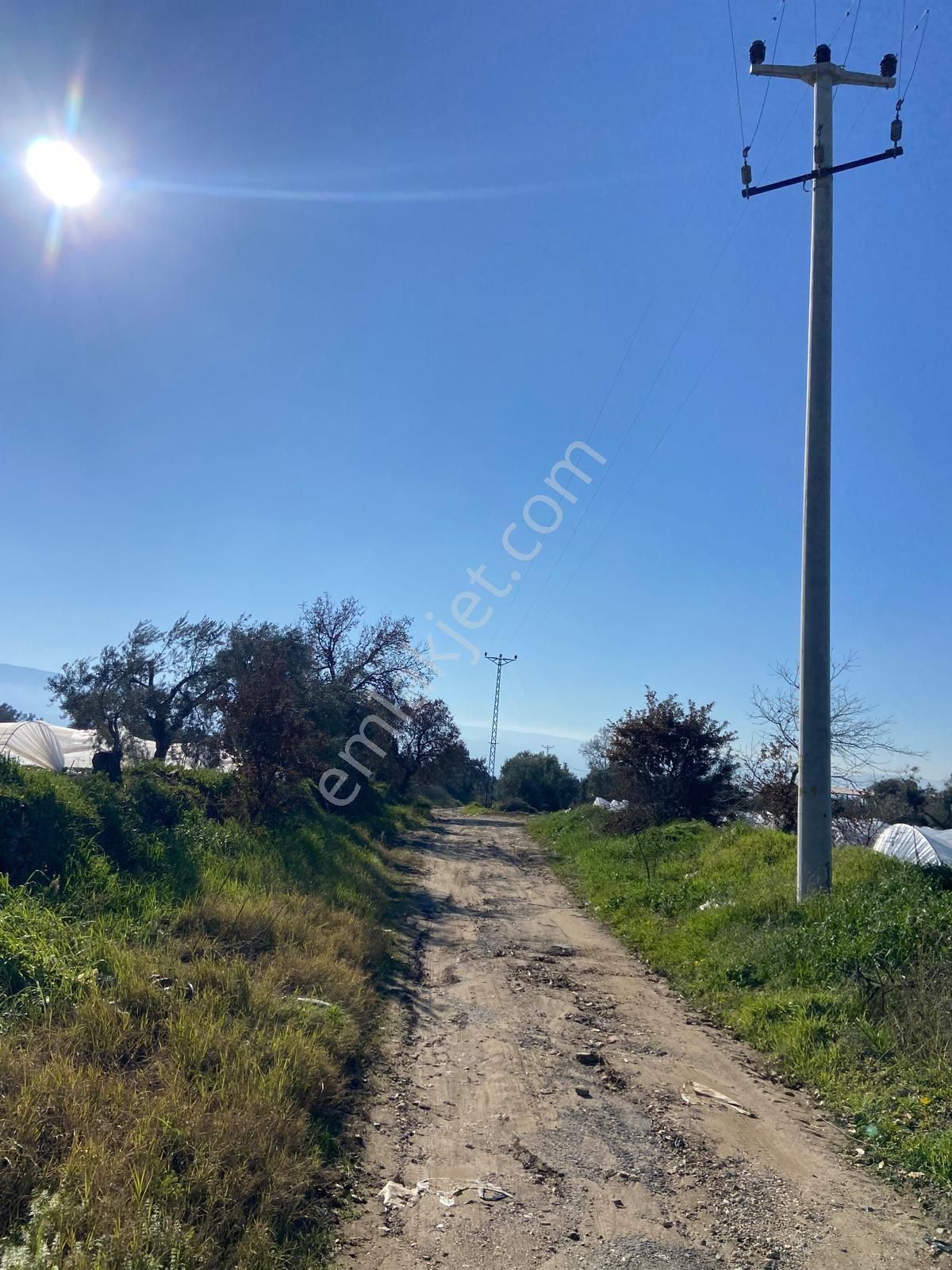 Has Umut Emlaktan Satılık 7.5 Dönüm Zeytinlik - Görsel 21