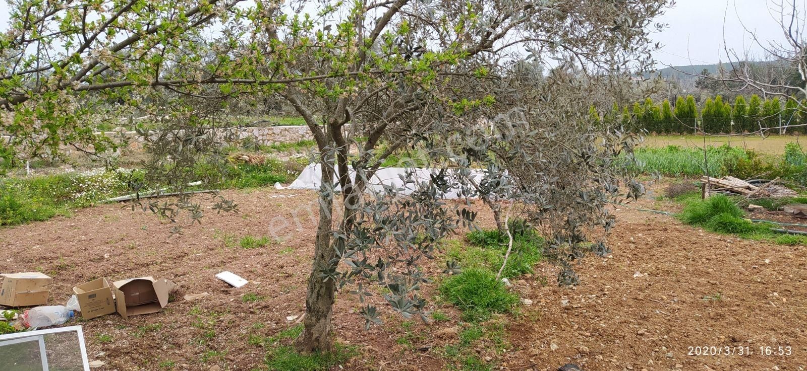 Muğla Ula Kızılağaç Kiralık Müstakil Ev - Görsel 8