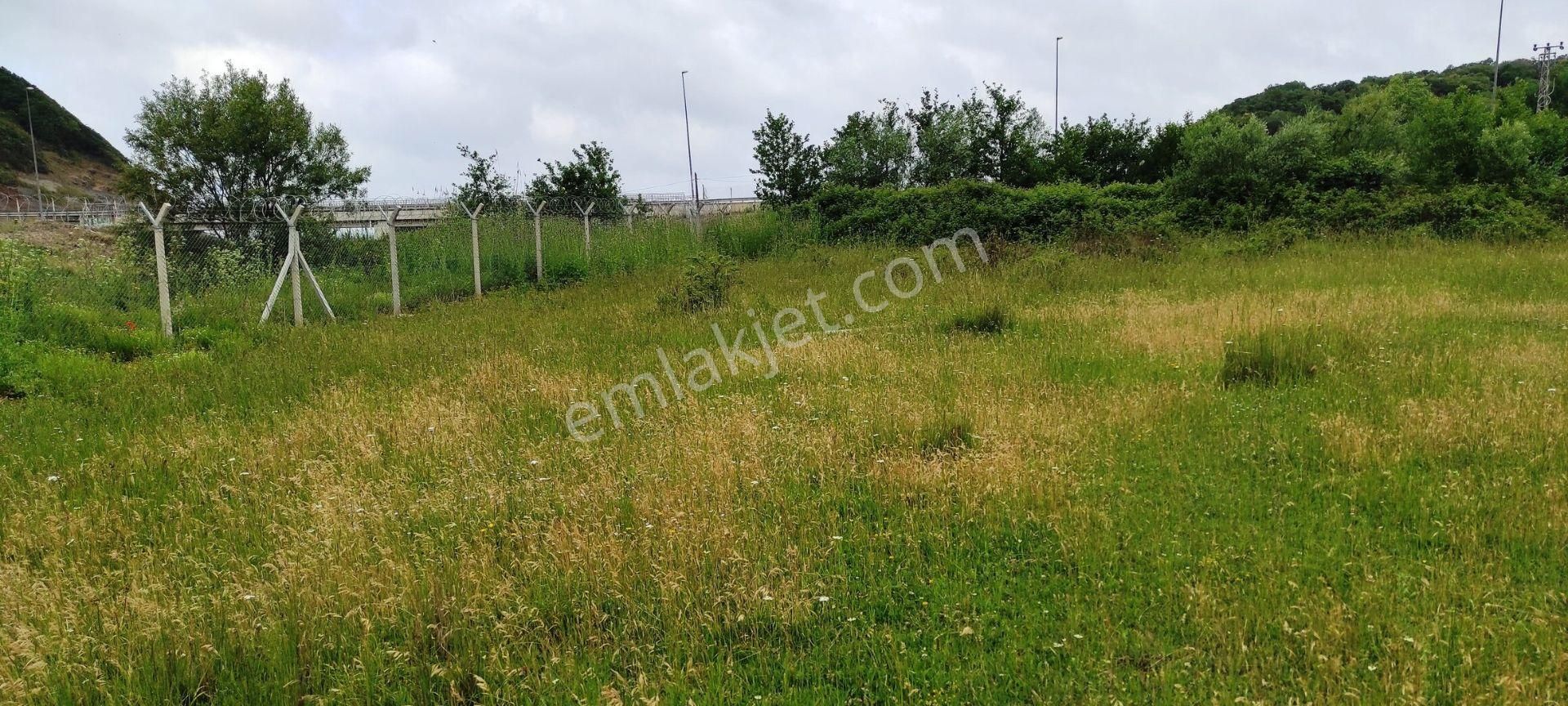 Beykoz Kabakoz Plajı'nda 9242m2 Yola Cephe Emsalsiz Satılık Arsa - Görsel 5