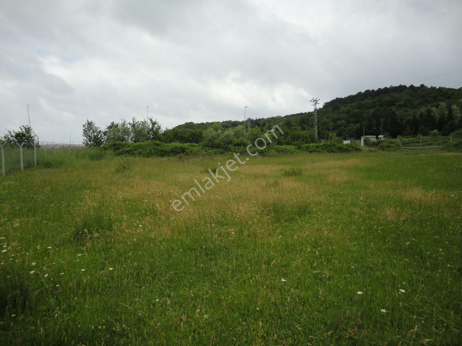 Beykoz Kabakoz Plajı'nda 9242m2 Yola Cephe Emsalsiz Satılık Arsa - Görsel 12