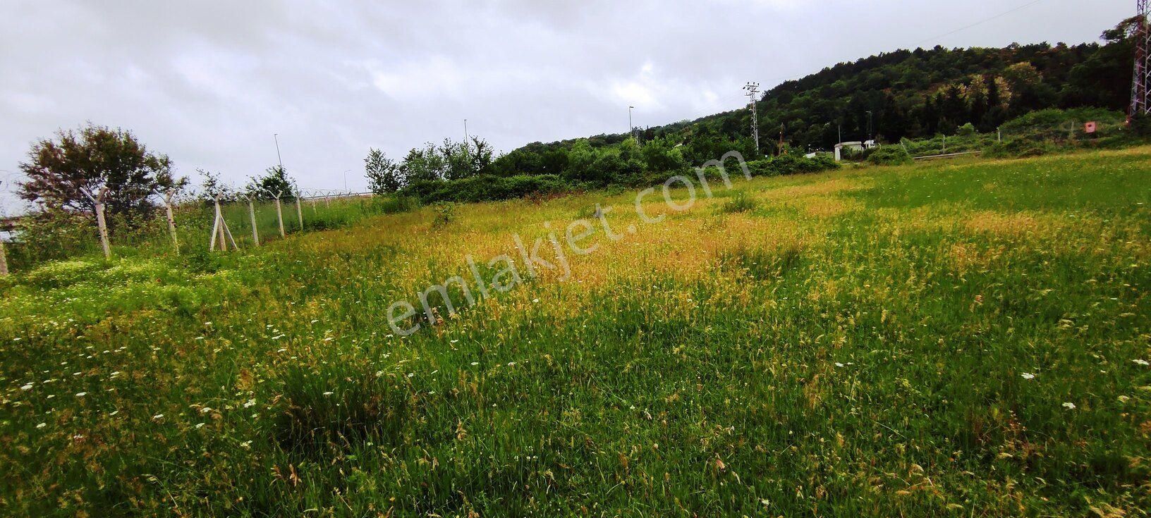 Beykoz Kabakoz Plajı'nda 9242m2 Yola Cephe Emsalsiz Satılık Arsa - Görsel 3