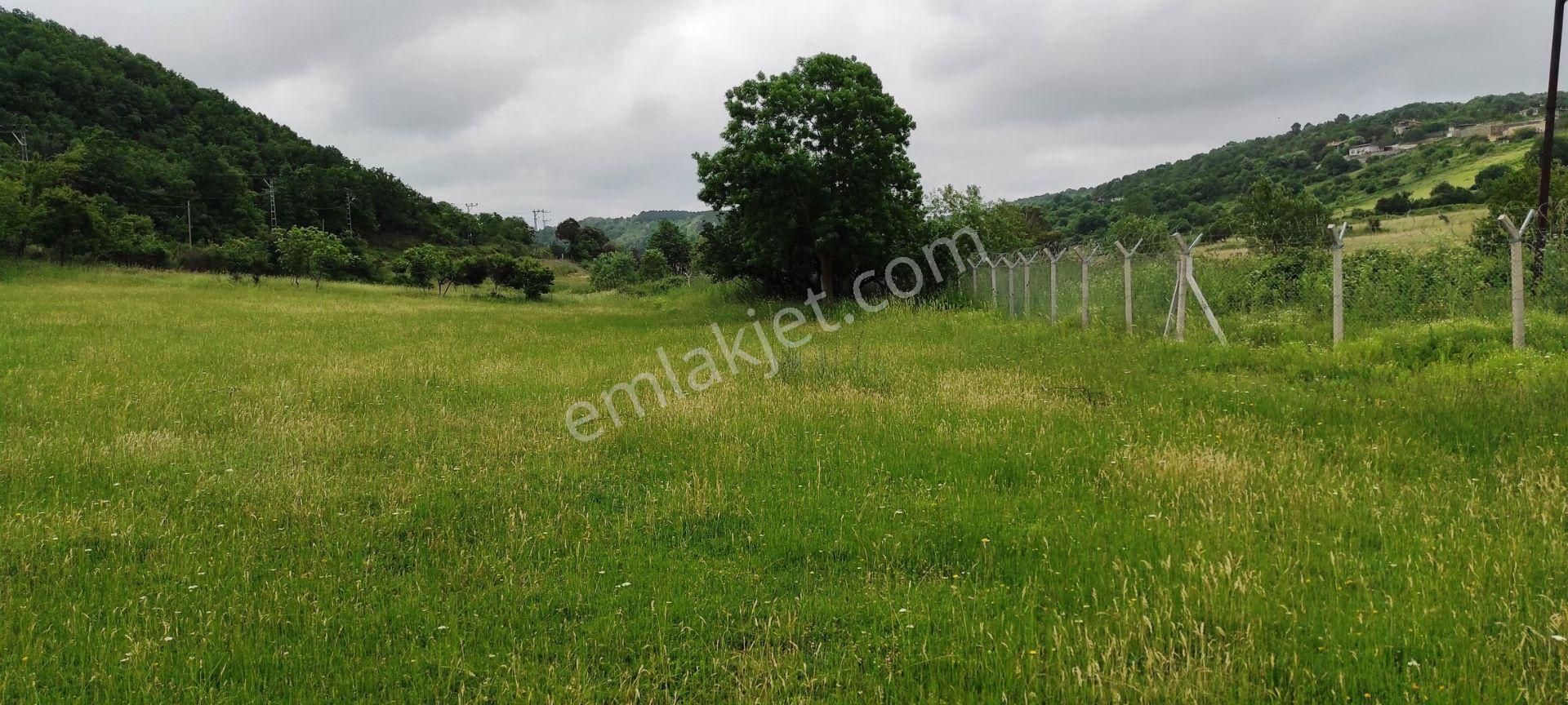 Beykoz Kabakoz Plajı'nda 9242m2 Yola Cephe Emsalsiz Satılık Arsa - Görsel 16