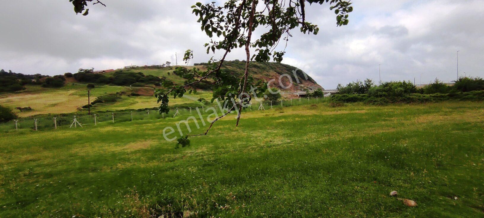 Beykoz Kabakoz Plajı'nda 9242m2 Yola Cephe Emsalsiz Satılık Arsa - Görsel 20