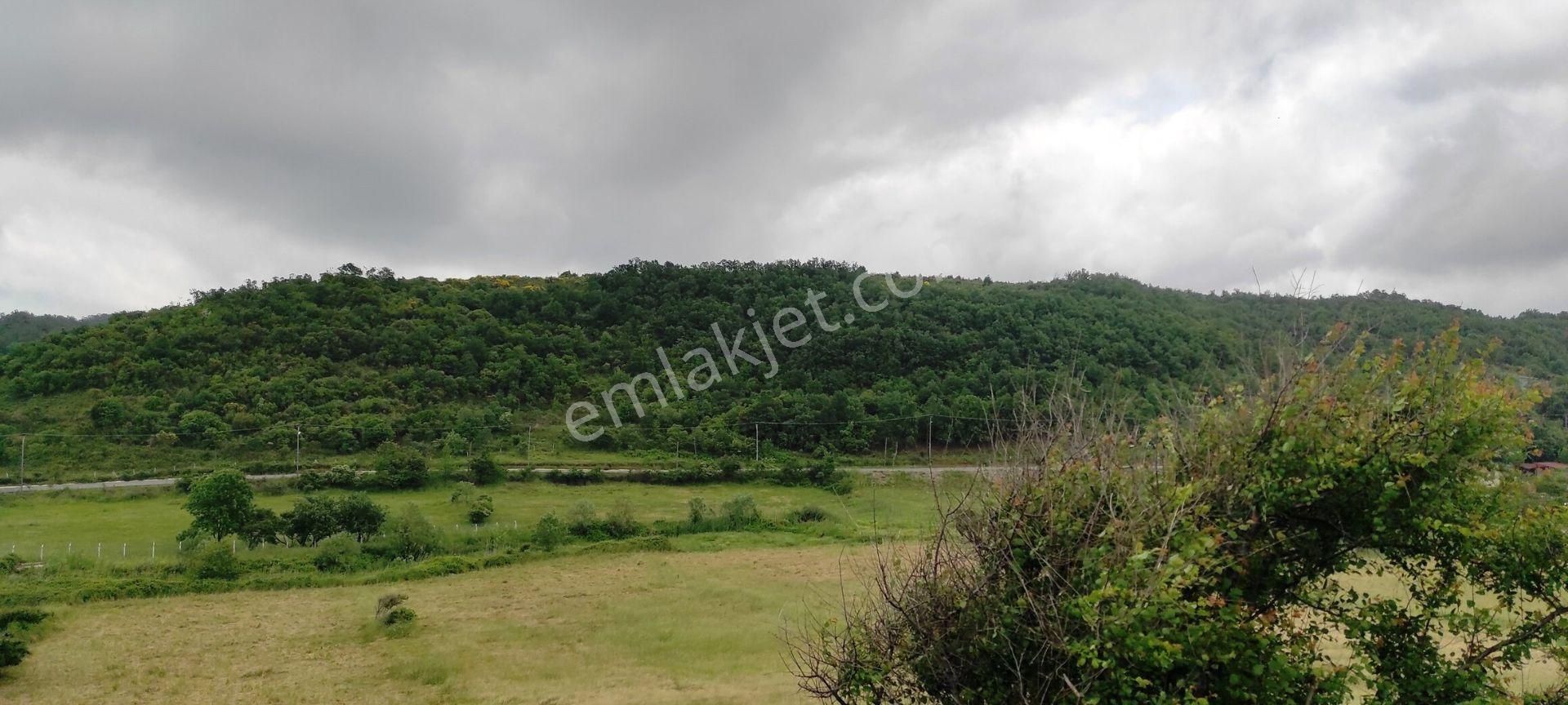 Beykoz Kabakoz Plajı'nda 9242m2 Yola Cephe Emsalsiz Satılık Arsa - Görsel 4