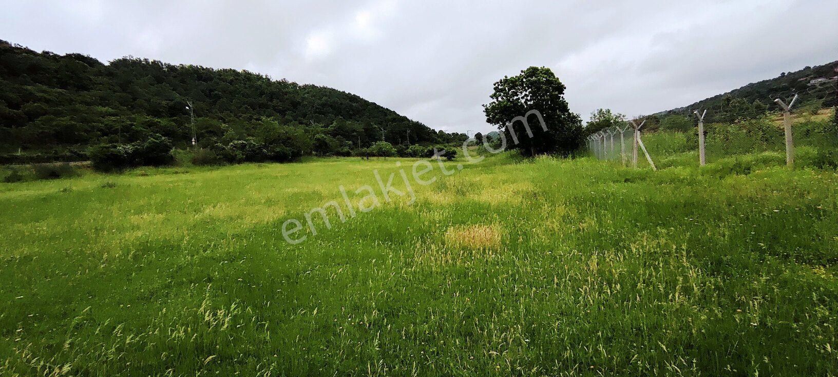 Beykoz Kabakoz Plajı'nda 9242m2 Yola Cephe Emsalsiz Satılık Arsa - Görsel 15