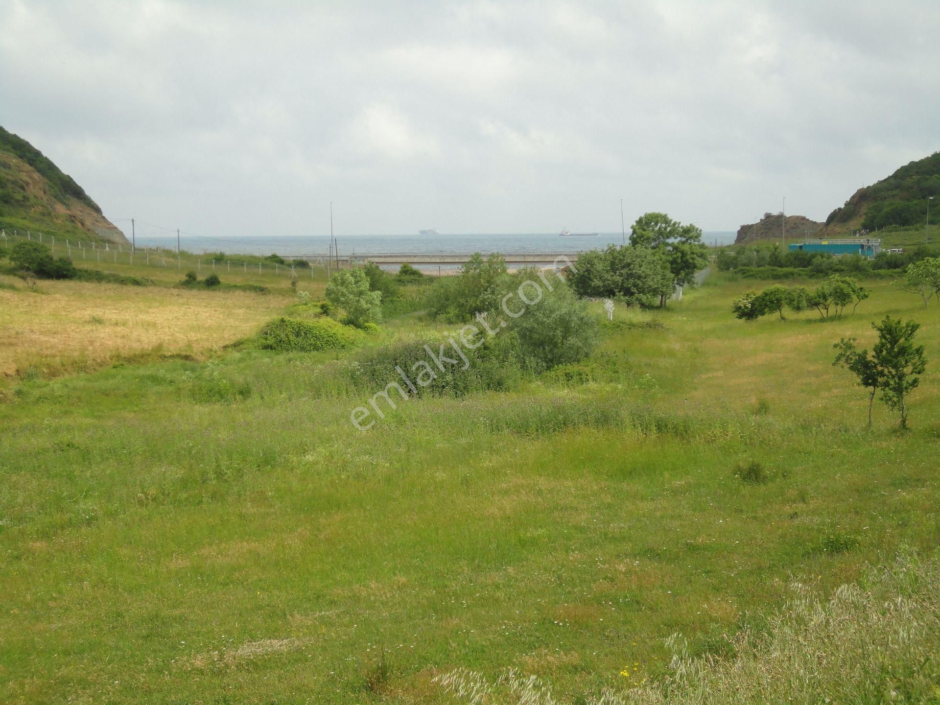 Beykoz Kabakoz Plajı'nda 9242m2 Yola Cephe Emsalsiz Satılık Arsa - Görsel 11