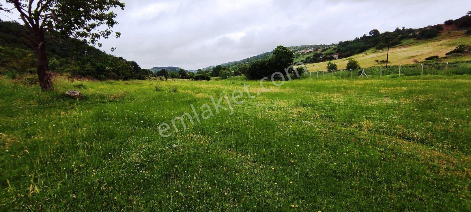 Beykoz Kabakoz Plajı'nda 9242m2 Yola Cephe Emsalsiz Satılık Arsa - Görsel 19