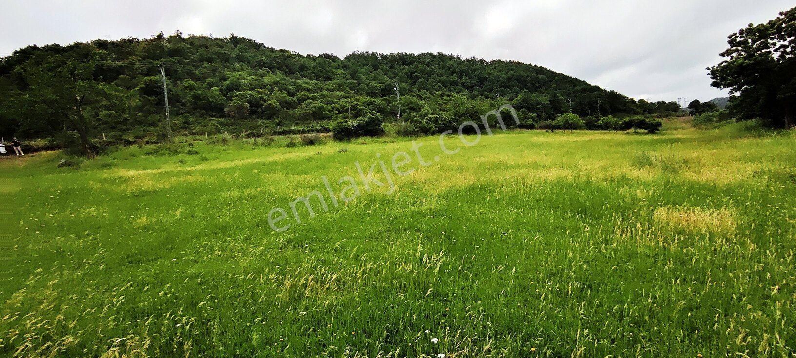 Beykoz Kabakoz Plajı'nda 9242m2 Yola Cephe Emsalsiz Satılık Arsa - Görsel 14